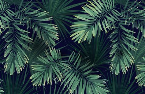  「Tropical Plants for Home Decor」：鮮やかな緑が部屋を彩る、コロンビアのボタニカル・アート